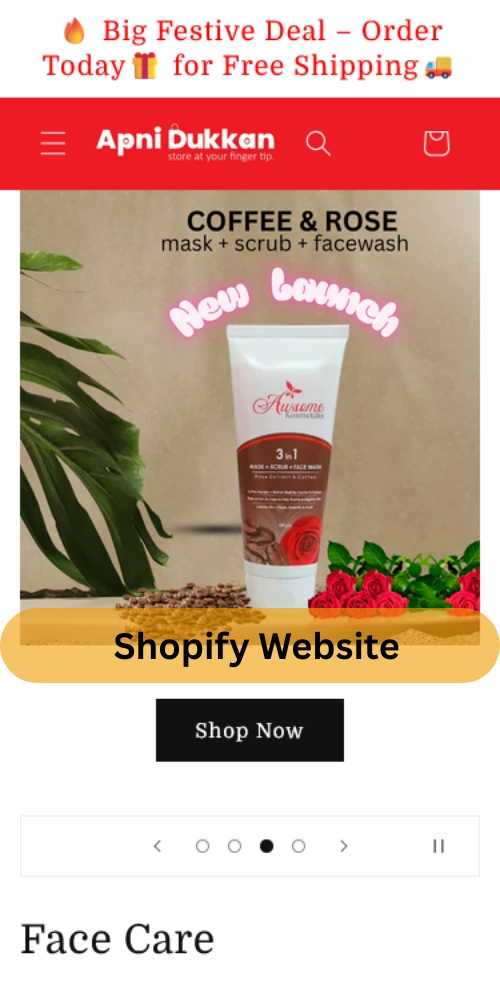 Shopify Website Development in India