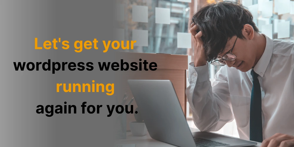 wordpress website maintenance india